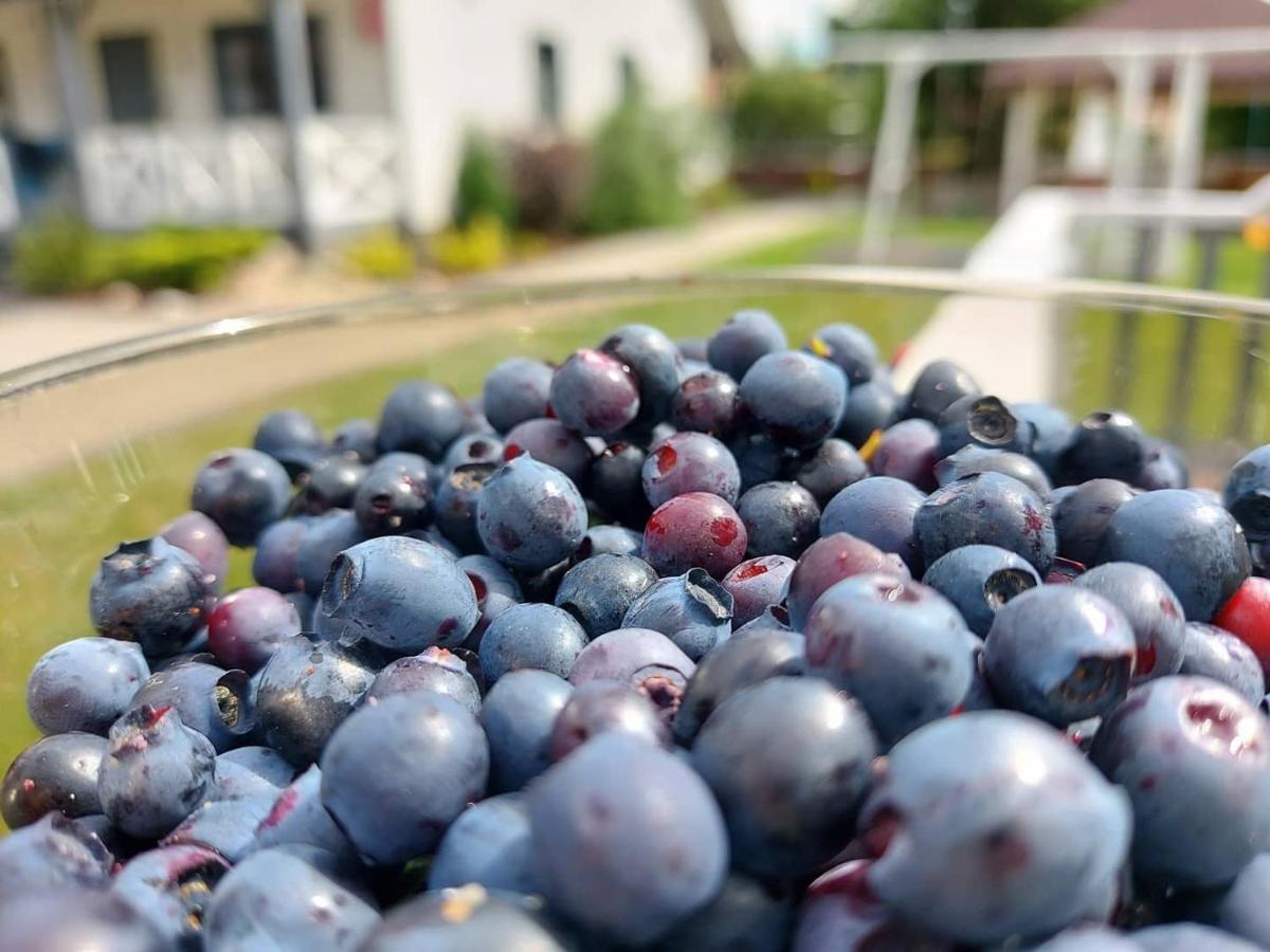 Nadmorz Sztutowo Villa Екстериор снимка